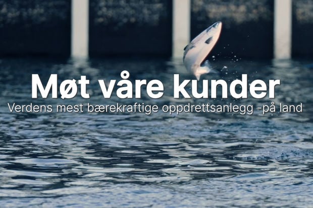 Laks som hopper i et oppdrettsbasseng