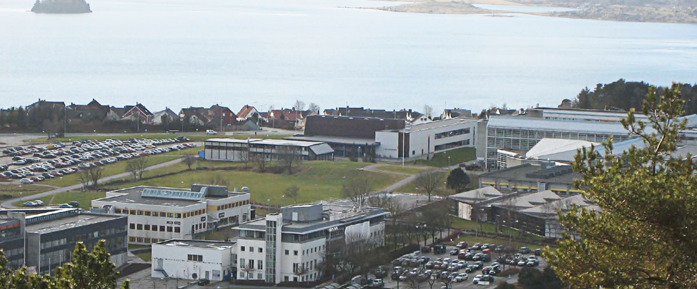 Universitet, Stavanger, Skjøtselsplan, utomhusanlegg, statsbygg, multiconsult