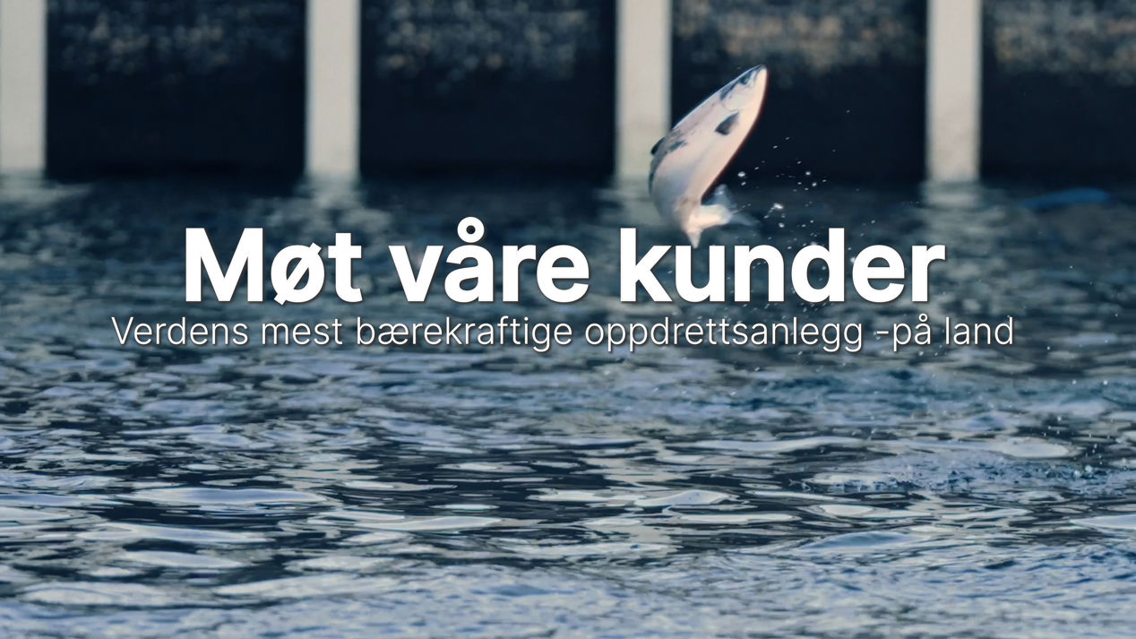 Videotitel: møt våre kunder med laks i bagrunnen som hopper over vannet