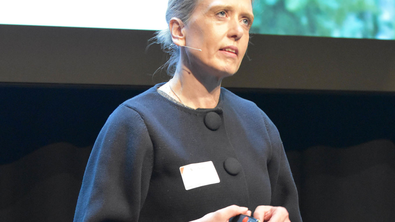 Silvia Olsen, Transportøkonomisk institutt