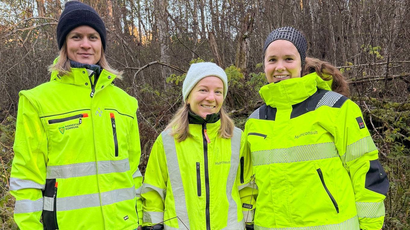 Elisabeth Mo Wroldsen, Idun Holsdal og Marit Isachsen