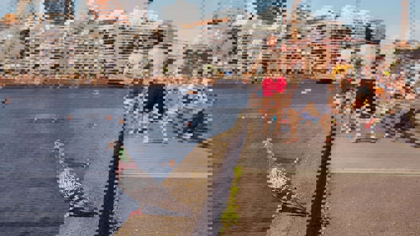 Sosiale møteplasser. 