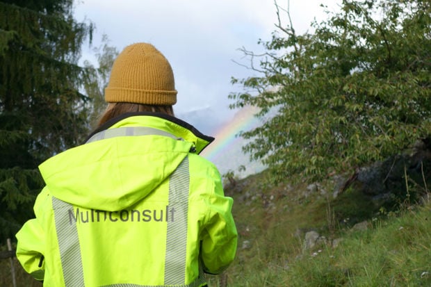 Medarbeider i gult vernetøy på befaring i landskap