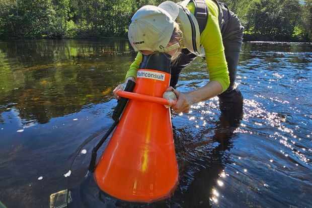 Kartlegging elvemusling Simoa