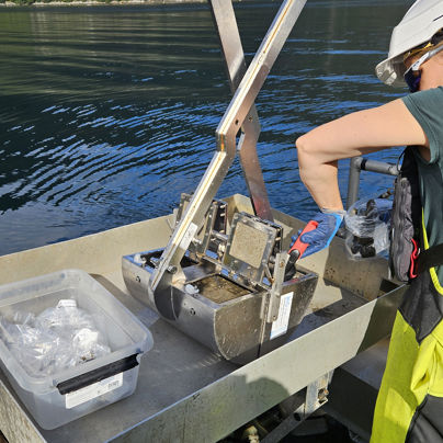 Prøvetakning i Sognefjorden